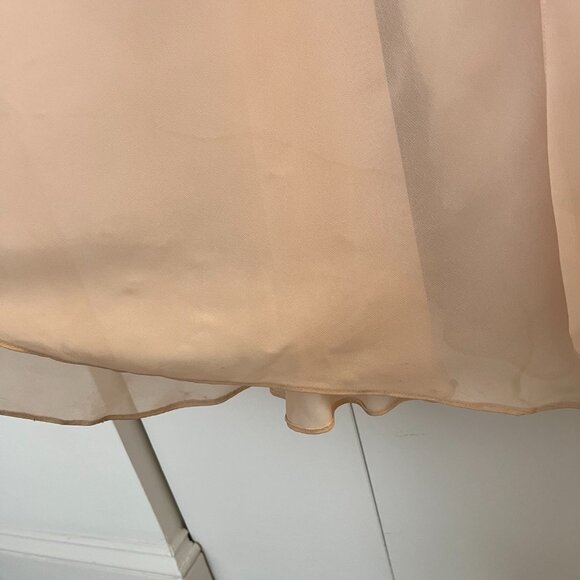 Jenny Yoo Mira Strapless Gown (Blush) - Picture 6 of 14